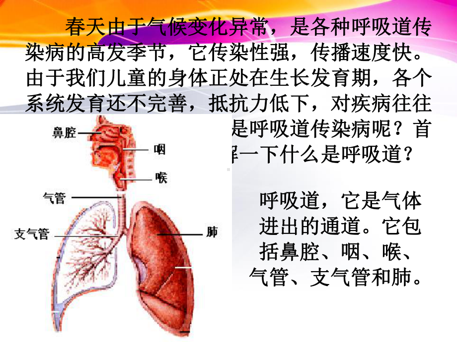 《春季传染病预防》x课件.pptx_第2页