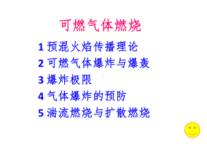 可燃气体燃烧课件.ppt