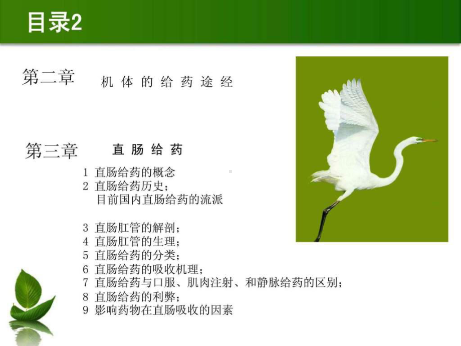 儿童绿色疗法-直肠给药课件.ppt_第2页