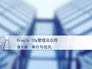 《Oracle10g管理及应用》-第十章审计与优化课件.ppt