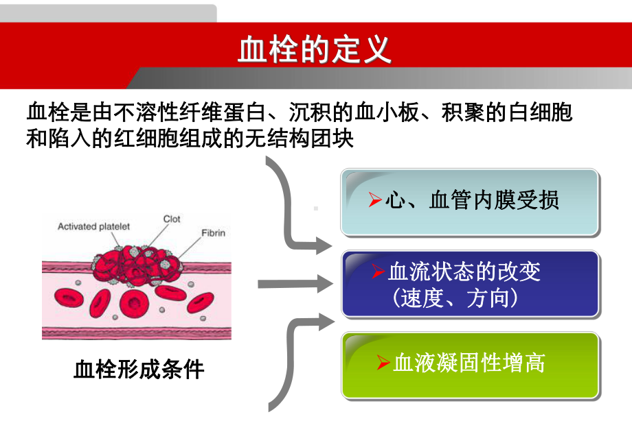 动脉血栓与静脉血栓治疗的比较概要课件.ppt_第2页