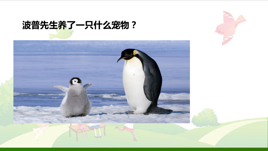 《波普先生的企鹅》(部编版)课件.ppt_第3页