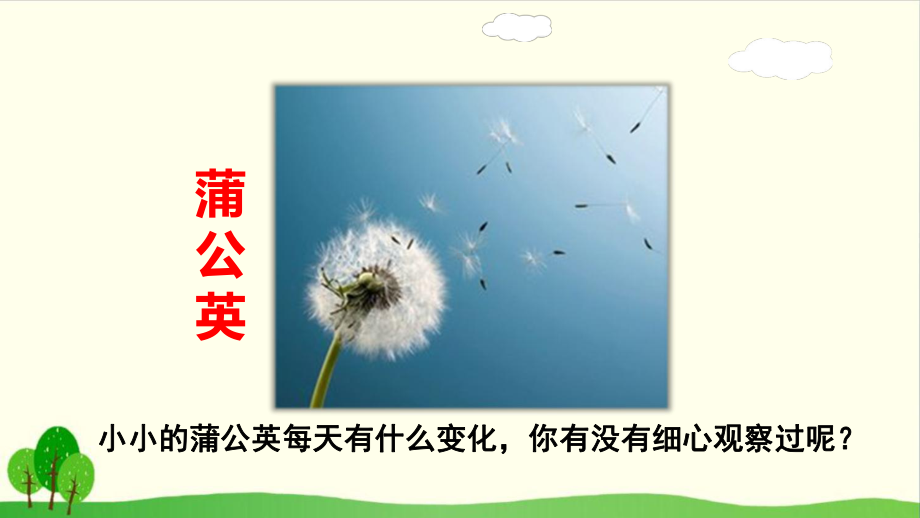 （部编版教材）金色的草地推荐1课件.ppt_第3页