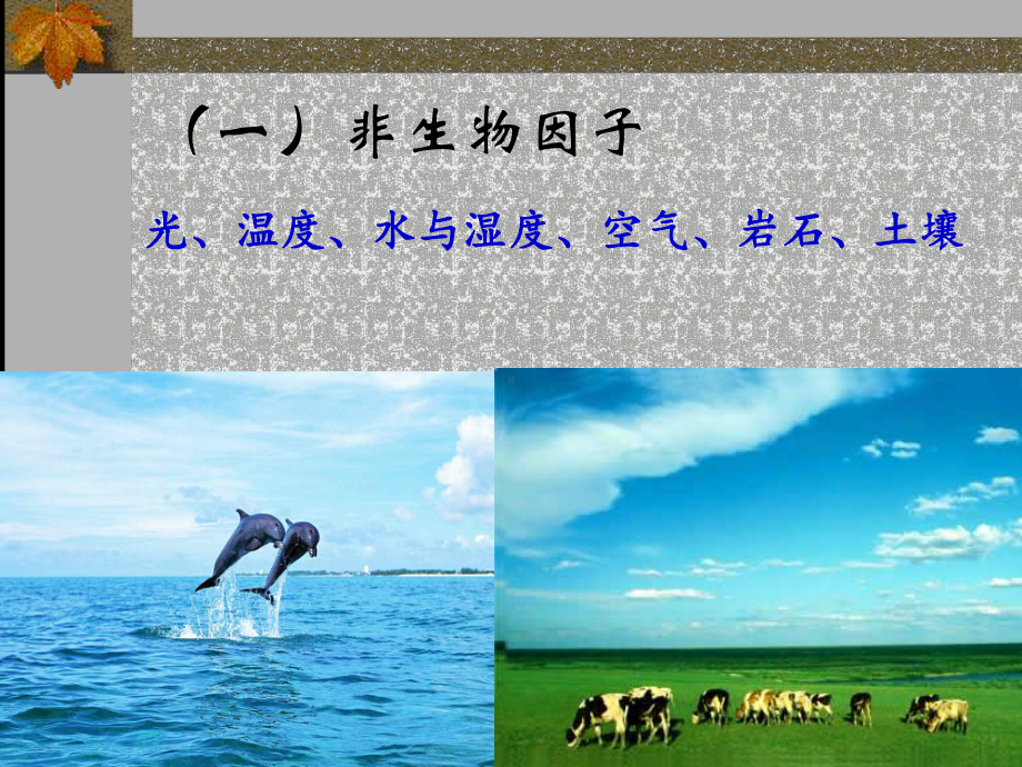 《医学生物学教学》9生物与环境课件.ppt_第3页