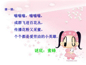 《蜜蜂引路》曦的公开课课件.ppt