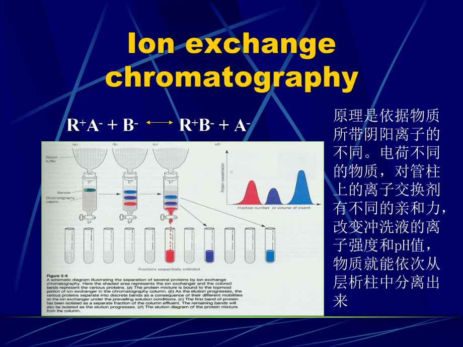 南农生物分离工程生物分离5课件.ppt_第1页