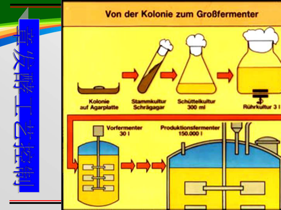 发酵工艺过程及控制介绍课件(129张).ppt_第1页