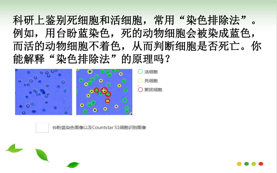 人教细胞膜的结构和功能课件.ppt_第3页