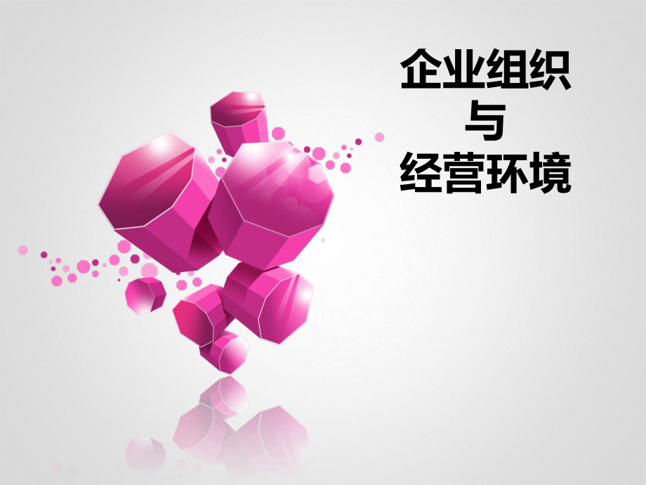 企业组织与经营环境课件-2.ppt_第1页