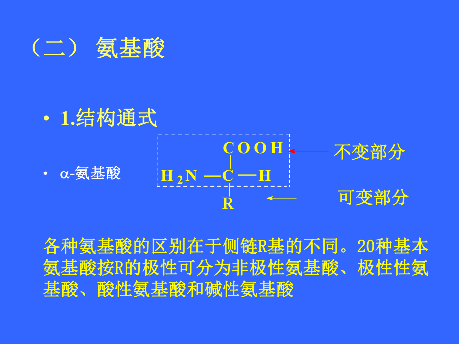 大学生物学课件.ppt_第3页