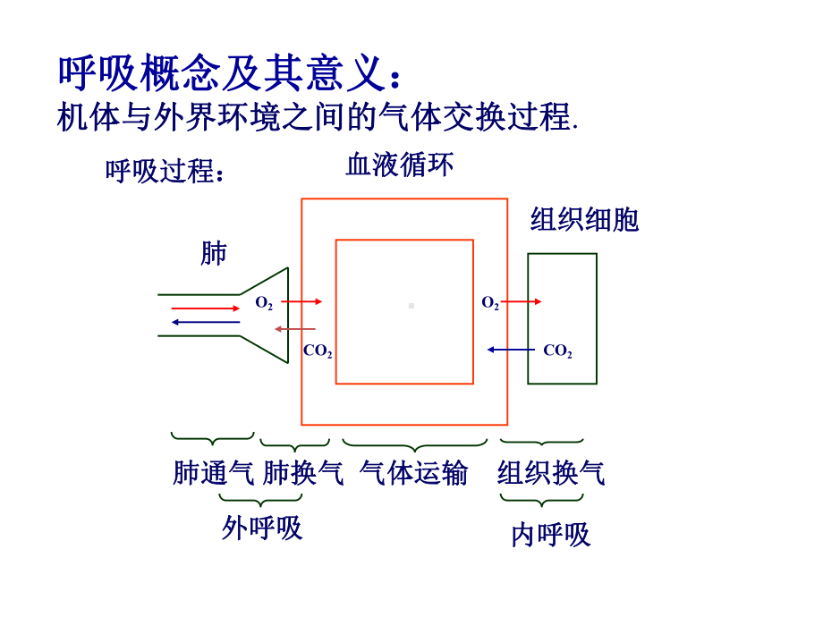 呼吸机基础知识笔记-课件.ppt_第2页