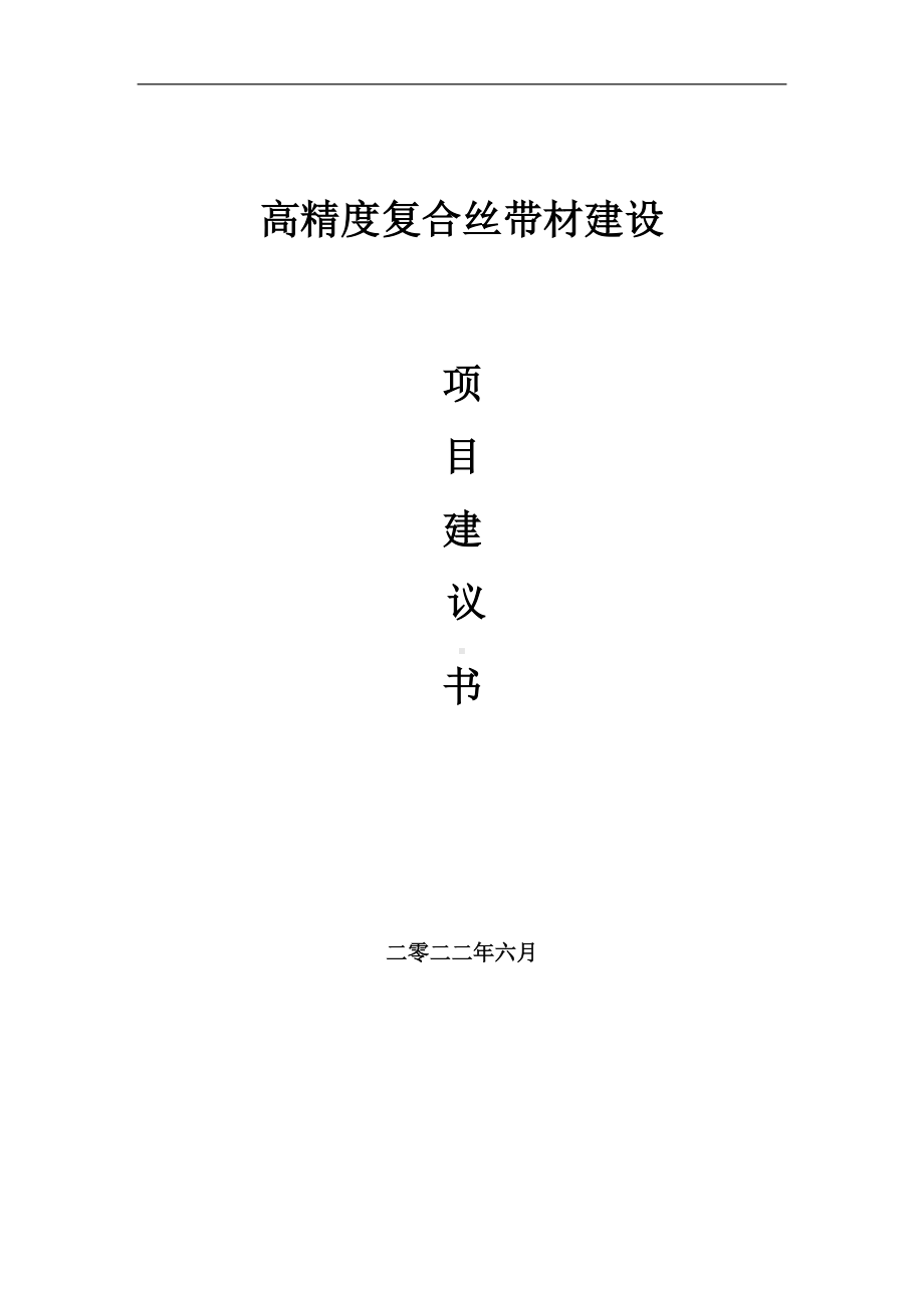 高精度复合丝带材项目建议书（写作模板）.doc_第1页