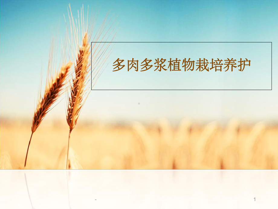 多肉植物识别课件.ppt_第1页