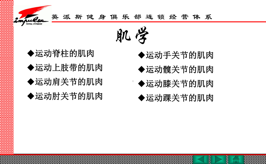 健身教练国家职业资格认证肌肉学(国职版)课件.ppt_第2页