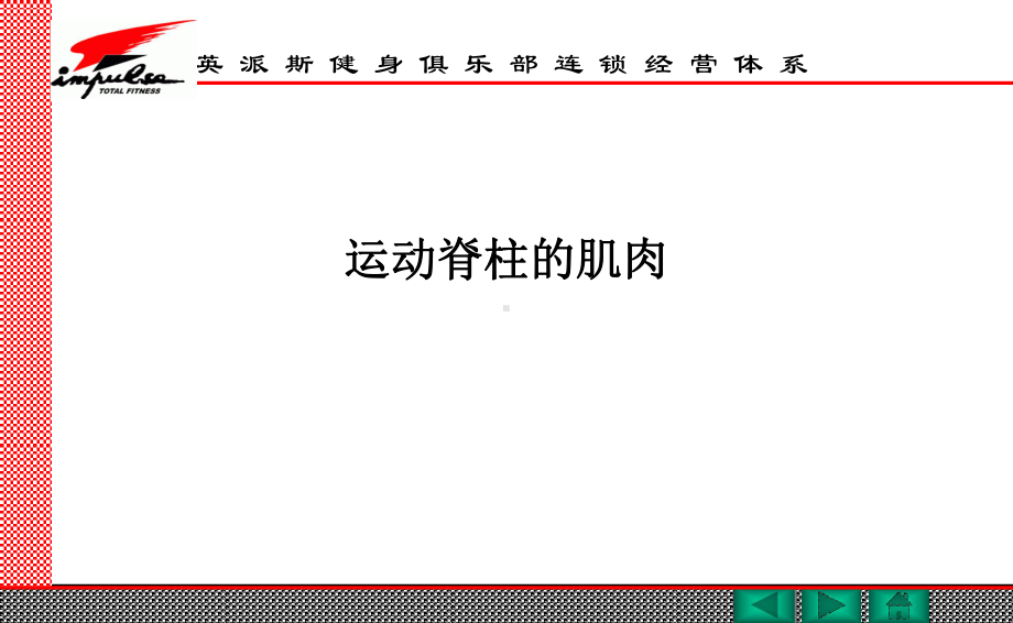 健身教练国家职业资格认证肌肉学(国职版)课件.ppt_第3页