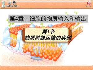 《物质跨膜运输的实例》课件解析.ppt