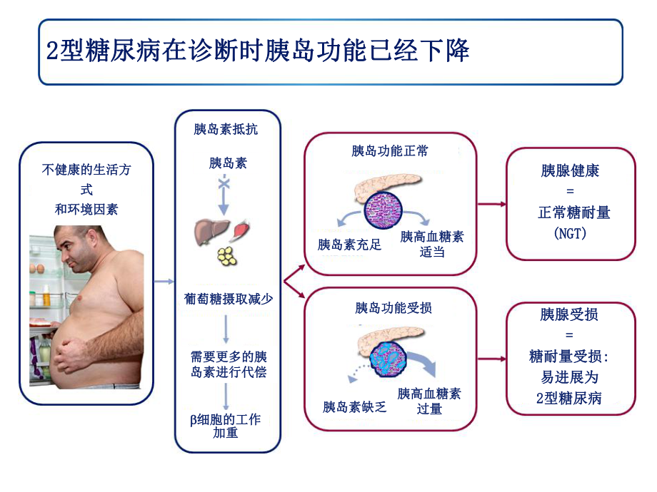 利拉鲁肽课件.ppt_第2页