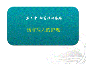 伤寒病人的护理-课件.ppt