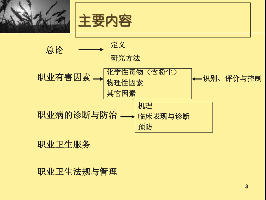 华科劳动卫生考研辅导课件.ppt_第3页