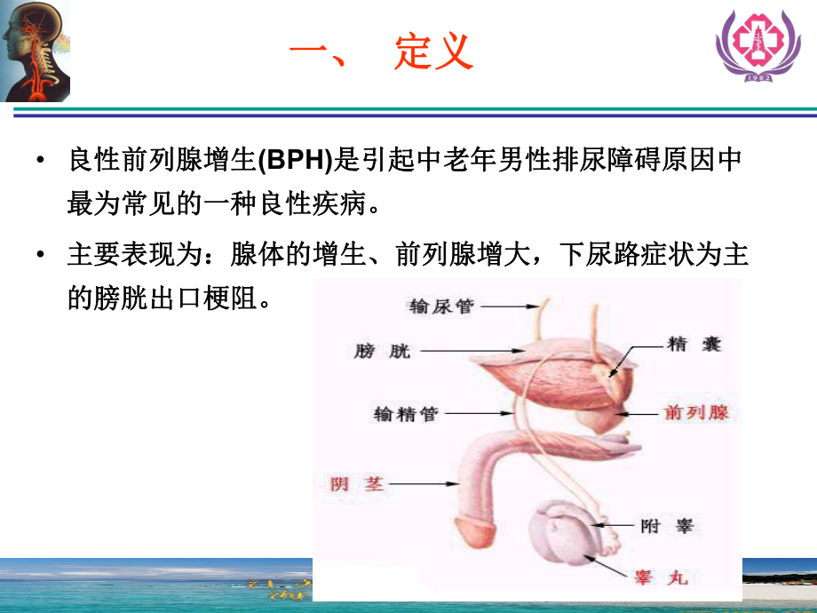 前列腺增生症诊断治疗概论课件.ppt_第2页