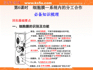 （生物）步步高课件精选：细胞膜-系统内的分工合作.ppt