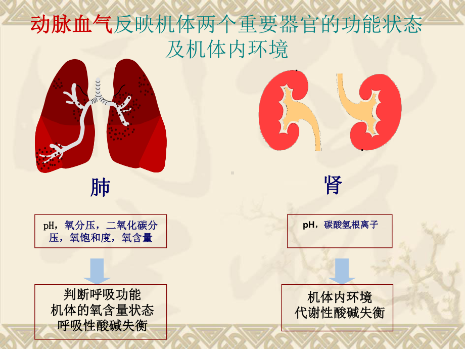 儿科常用生化检验及正常值概要课件.ppt_第3页