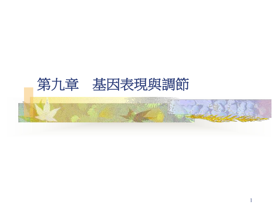 基因表现与调节解读课件.ppt_第1页