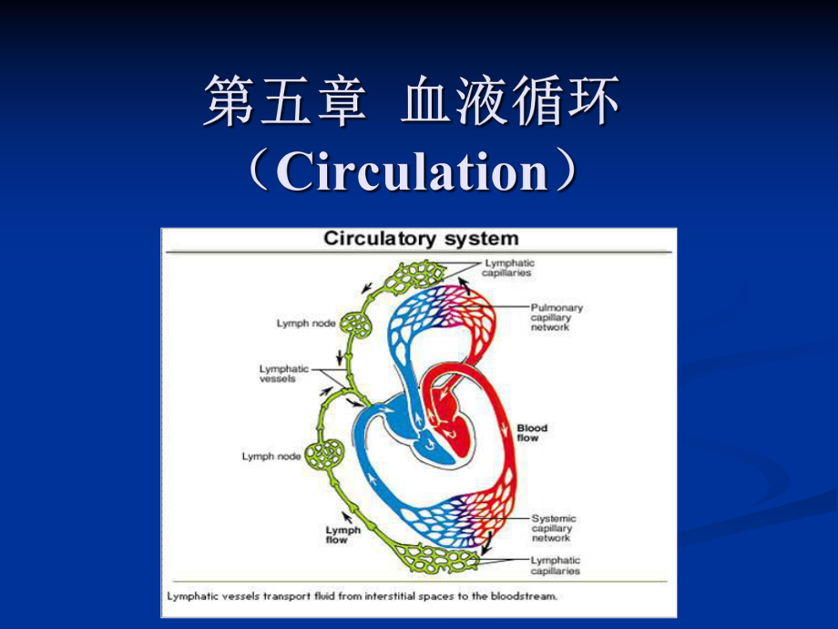 动物生理学血液循环课件.ppt_第1页