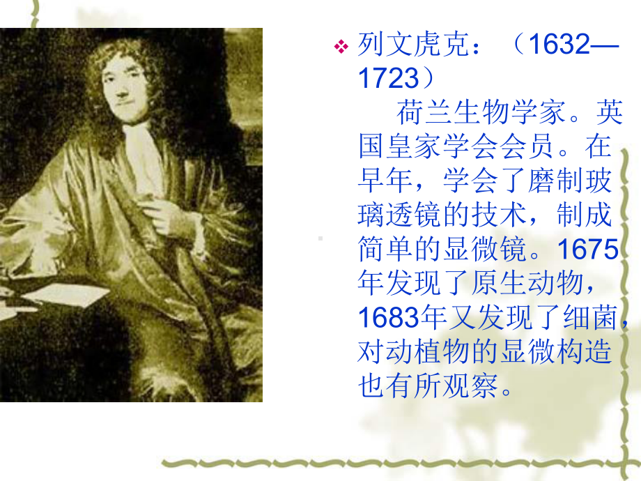 列文虎克(1632—1723)荷兰生物学家英国皇家学会会员在早课件.ppt_第2页