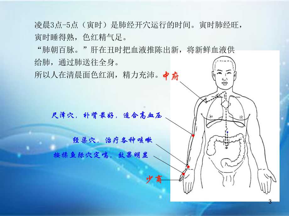 十二经络养生教学课件.ppt_第3页