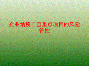 企业纳税自查重点项目的风险管控课件.pptx