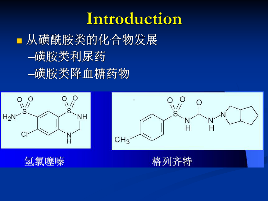 利尿药和口服降血糖药物课件.ppt_第2页