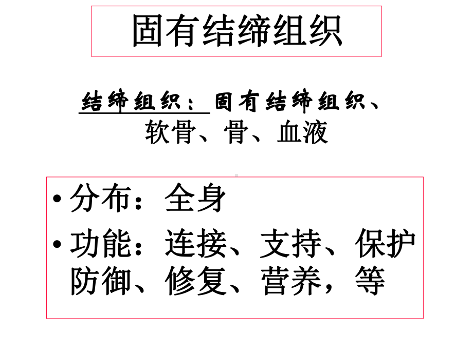 固有结缔组织课件.ppt_第1页