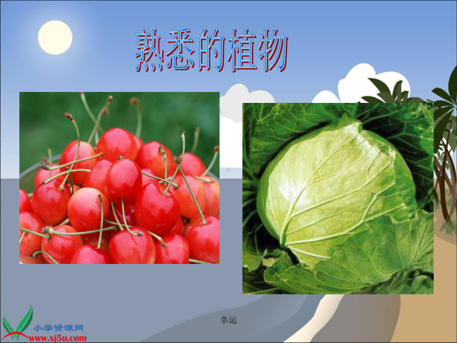 《植物与能量》医学课件精选版.ppt_第3页