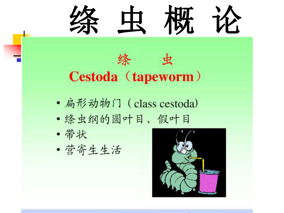 医学寄生虫学课件：绦虫(-有包虫).ppt_第3页