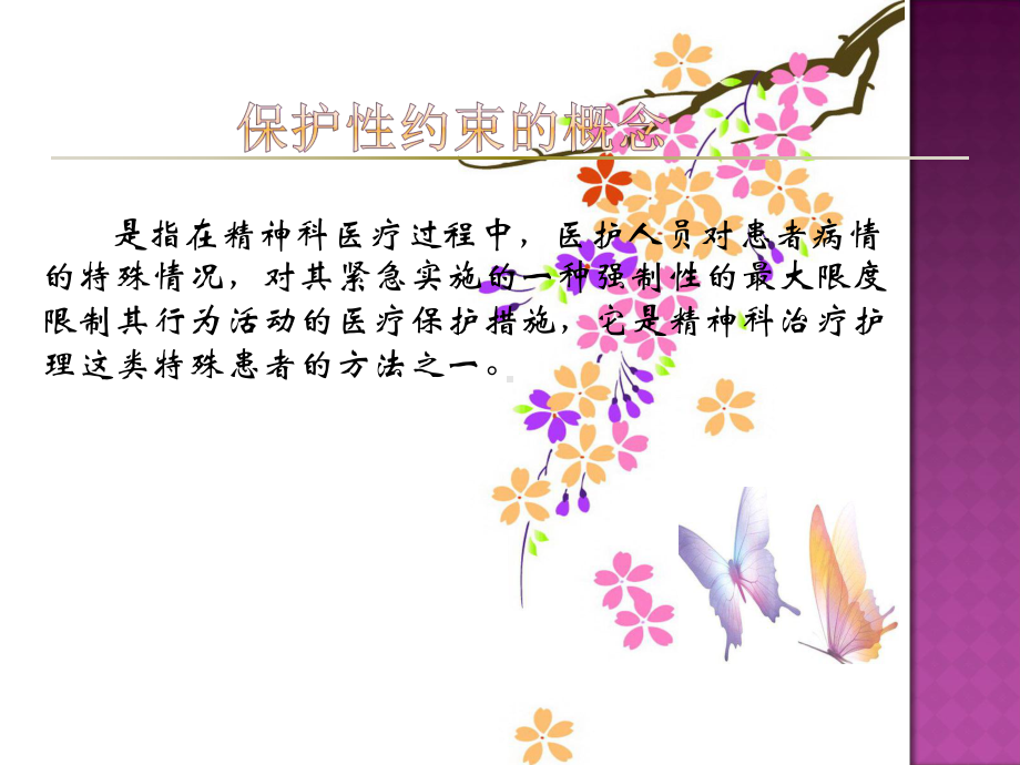 保护性约束课件.ppt_第2页