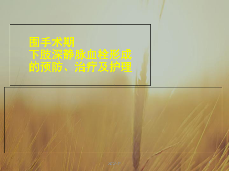 围手术期深静脉血栓护理-课件.ppt_第1页