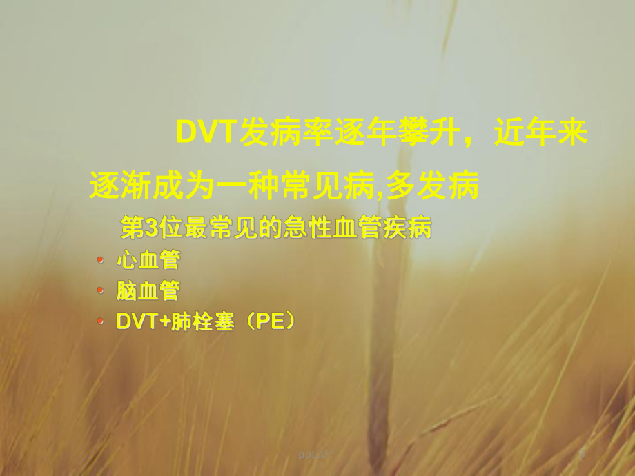 围手术期深静脉血栓护理-课件.ppt_第3页