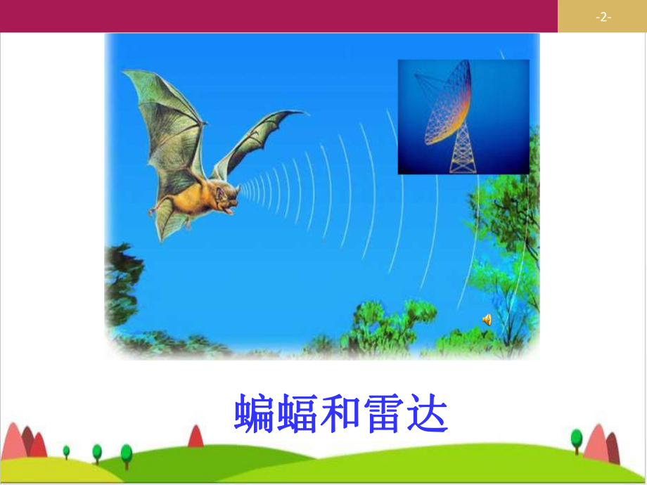 《蝙蝠和雷达》优秀课件.ppt_第2页