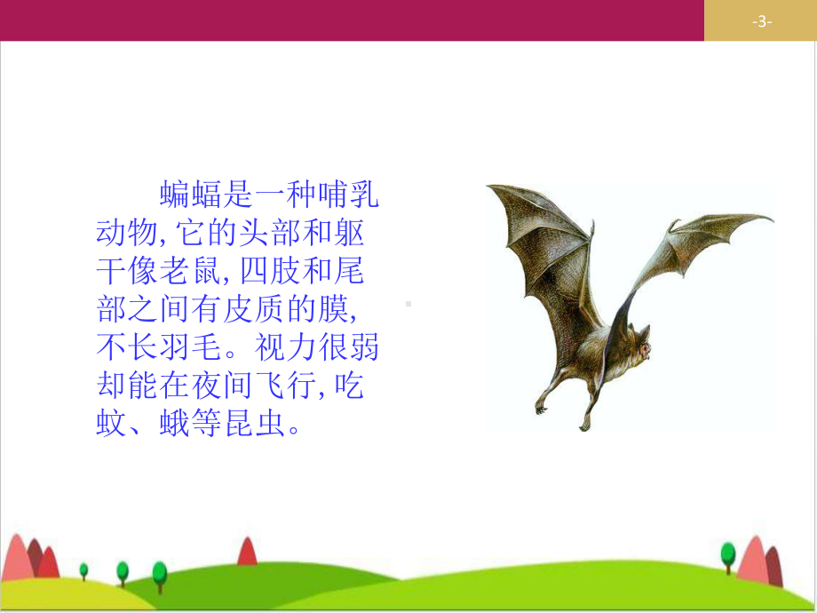 《蝙蝠和雷达》优秀课件.ppt_第3页