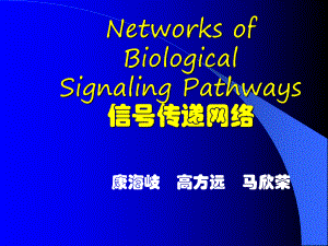 信号传递网络-课件.ppt