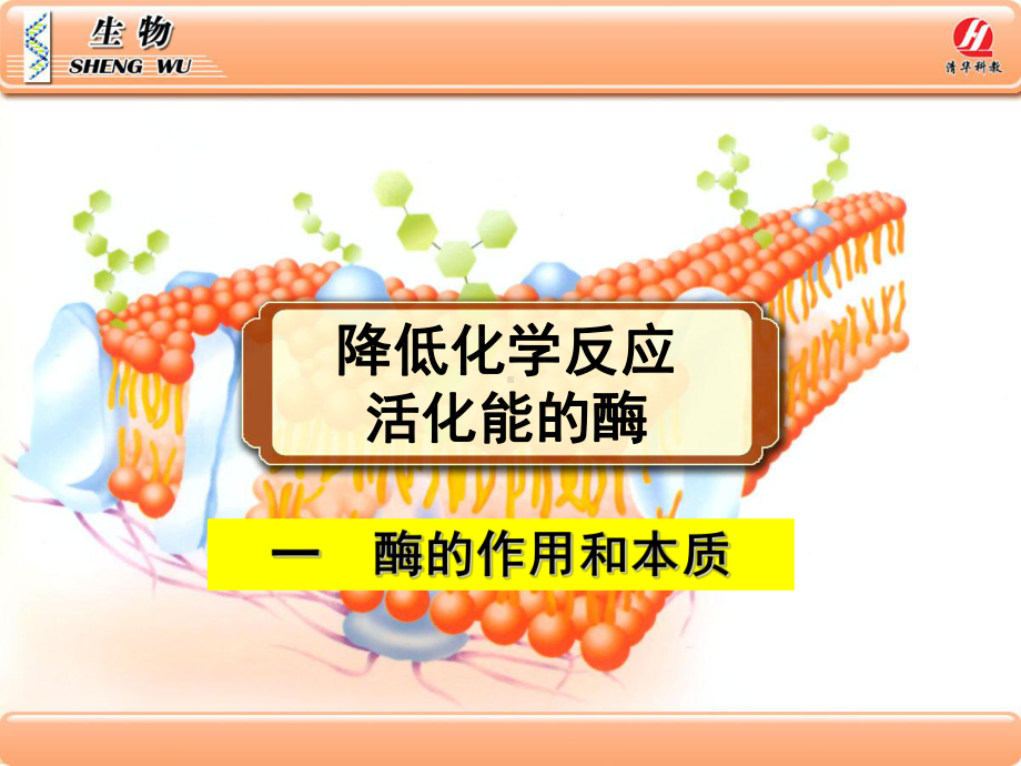 《降低化学反应活化能的酶》课件.ppt_第1页