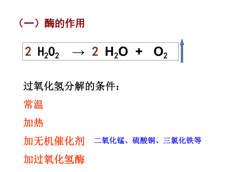 《降低化学反应活化能的酶》课件.ppt_第3页