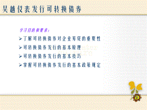 仪表发行可转换债券课件.ppt