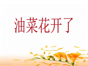 《油菜花开了》-教科版课件.ppt