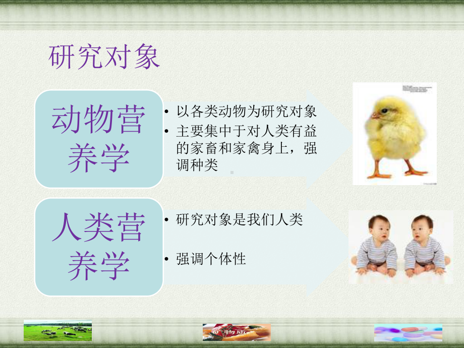 动物营养学与人类营养学的异同课件.ppt_第3页