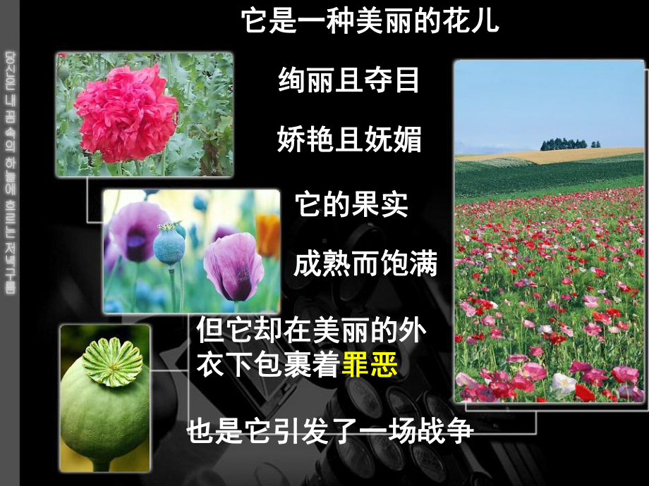 两种文明的较量—探讨鸦片战争发生的真正之源课件.ppt_第1页