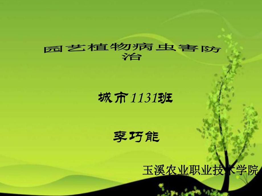 园艺病虫害防治讲座课件.ppt_第1页