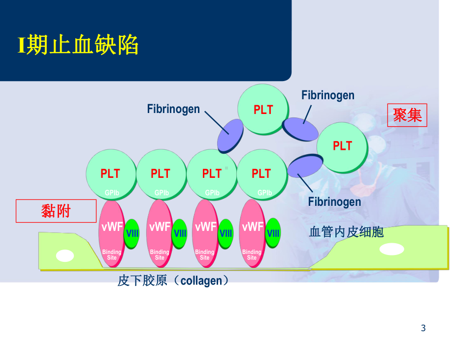 外科出血的内科处理课件.ppt_第3页