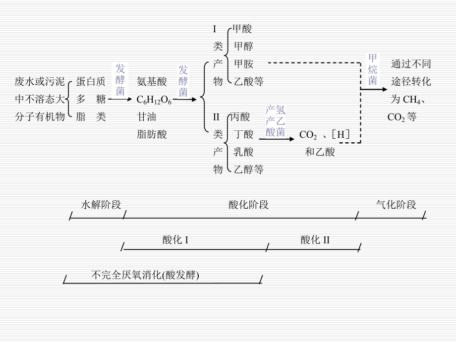 厌氧生物处理课件.ppt_第3页